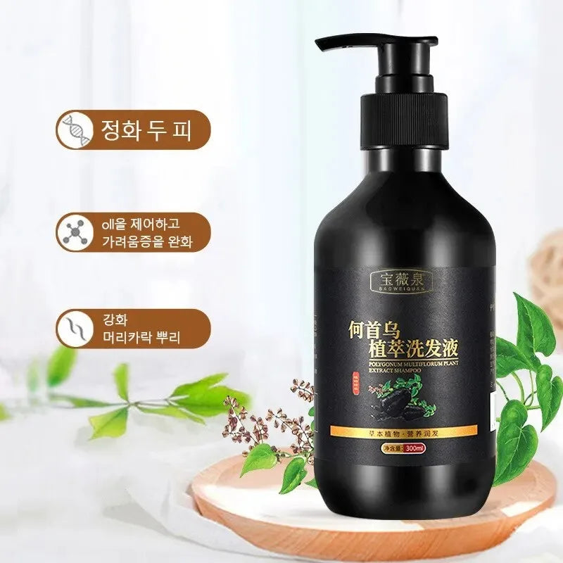 Herbal Polygonum Multiflorum Shampoo