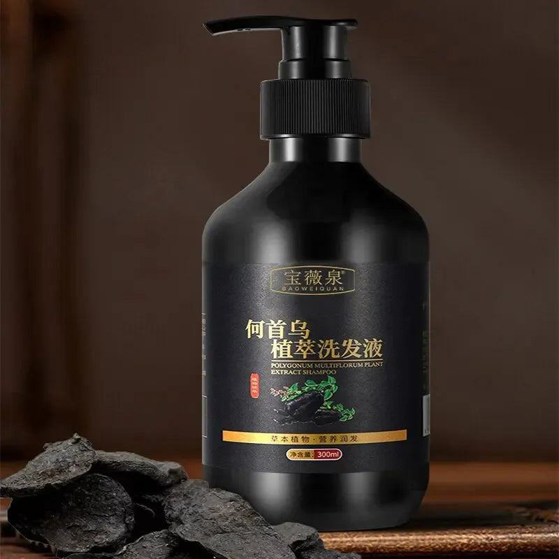 Herbal Polygonum Multiflorum Shampoo