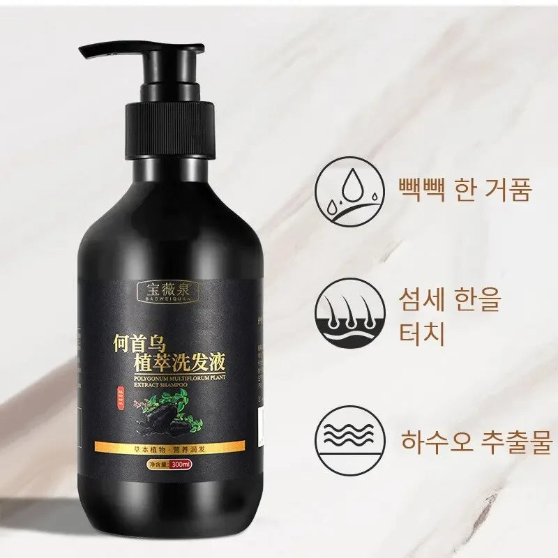 Herbal Polygonum Multiflorum Shampoo