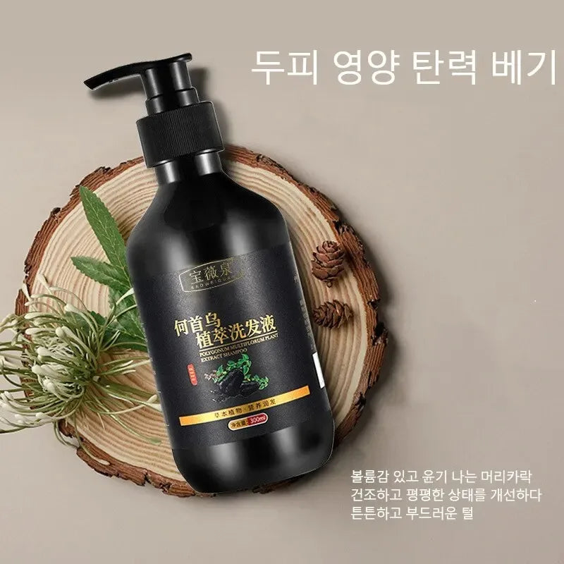 Herbal Polygonum Multiflorum Shampoo